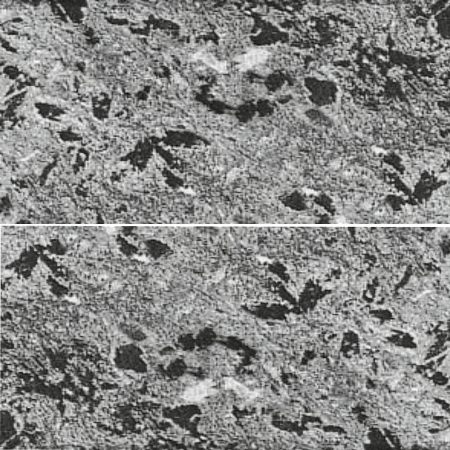 Плитка облицовочная 300*150*12 мм "Премиум" серпентинит